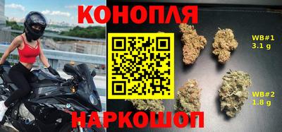 дурь Пугачёв