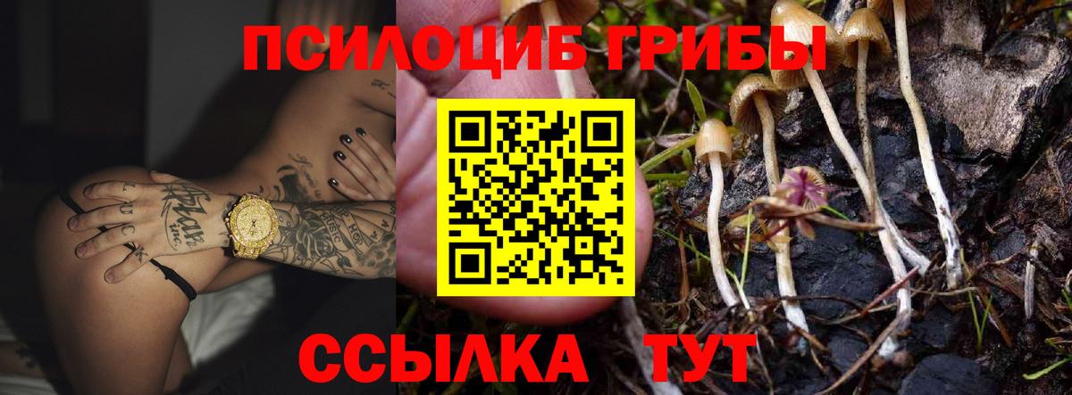 Галлюциногенные грибы Cubensis Сосновоборск